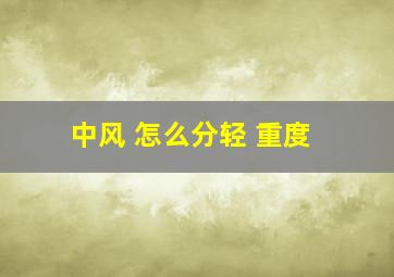 中风 怎么分轻 重度